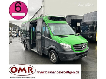 Kleinbus, Personentransporter — Mercedes Sprinter 314 Mobility